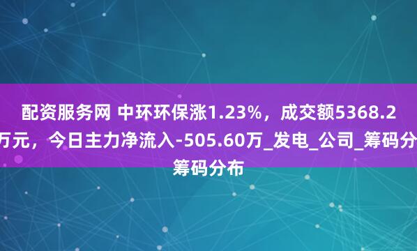 配资服务网 中环环保涨1.23%，成交额5368.26万元，今日主力净流入-505.60万_发电_公司_筹码分布